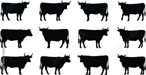 Silhouettes of cows and bulls farm animals