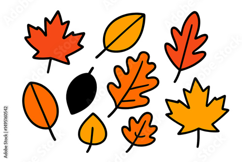 Colorful modern vector illustration of various autumn leaves scattered on a white background representing fall foliage and seasonal change