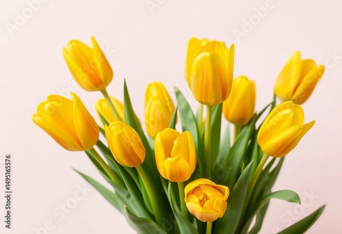 A cluster of vibrant yellow tulips, blossoms fully open, set against a clean, solid backdrop, flat lay, bloom