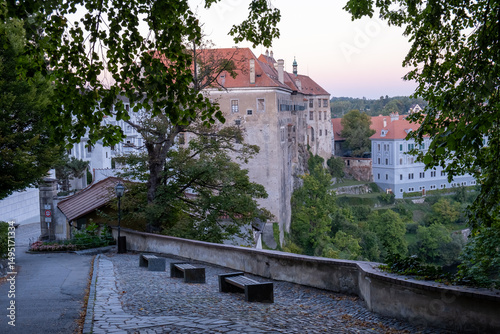 Medieval castle view with cobblestone path photo