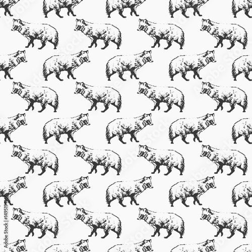 Raccoon Animal Drawing Print