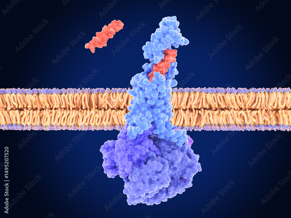 glp 1 tirzepatide mounjaro Ophthalmic Complications Observed After Use of GLP-1 Agonists Poster, Print The peptide tirzepatide