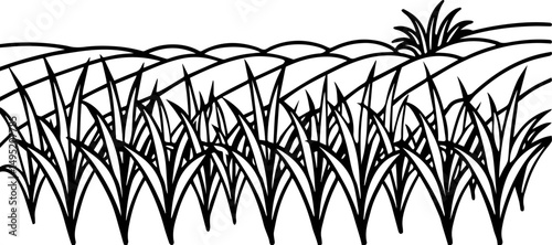 rice field outline vector illustration, coloring book page