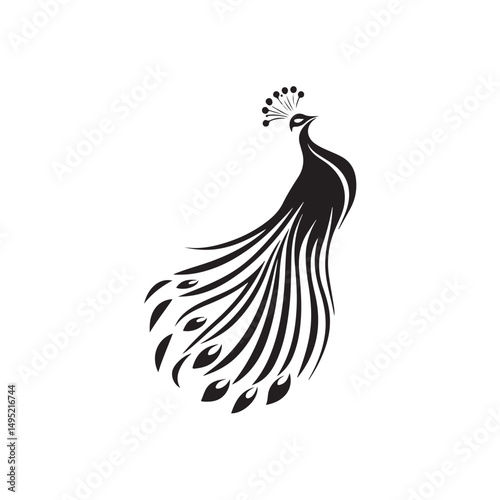 Detailed vector illustration of a bird of paradise displaying its magnificent tail feathers isolated on white background.
