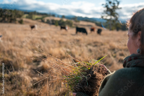 Wallpaper Mural Female Farmer Inspecting Healthy Soil and Roots in an Australian Pasture. Showcasing Regenerative Agriculture Practices for Sustainable Cattle Farming and Land Management Torontodigital.ca
