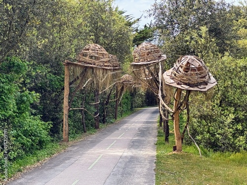 Structure en bois le long de la piste cyclable
