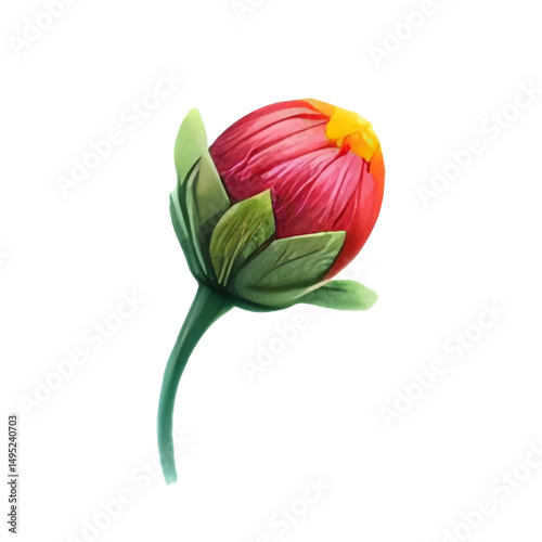 Closed Flower Bud transparent background