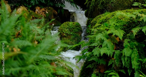 A gentle waterfall winds its way through mossy rocks and dense ferns in a shaded tropical forest. The layered greenery and trickling water create serene, untouched feel of deep green jungle seclusion.