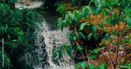 A lush, vibrant waterfall cascades gently through a tropical forest, surrounded by moss-covered rocks, thick ferns, and rich green foliage. Nature’s calm and motion blend into a tranquil jungle escape