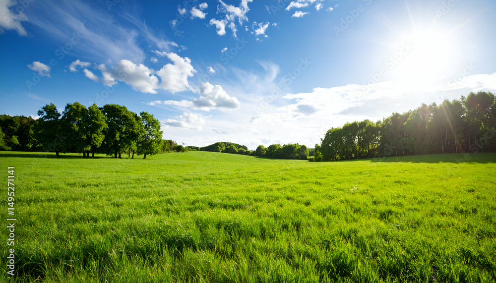 Obraz premium Serene Summer Meadow Landscape Sunny Green Field Under Blue Sky