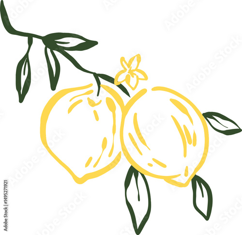 Lemons on a Branch HandDrawn Illustration