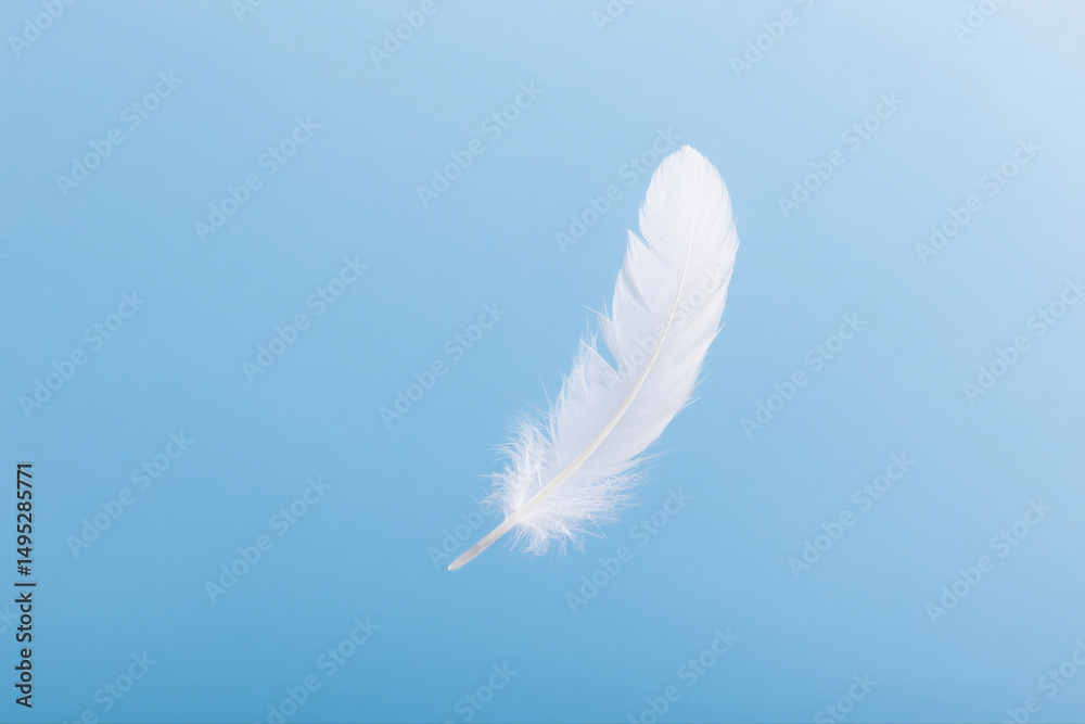 Obraz premium Single Feather Isolated on Soft Blue