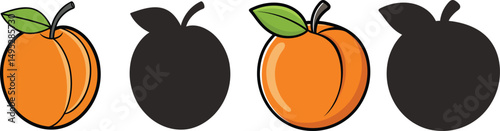 Apricot illustration with color and silhouette variations, A simple illustration of an apricot fruit shown in color and as a silhouette