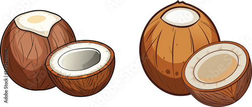 Whole coconuts and halves showing the white coconut meat inside, Illustration of whole and halved coconuts showcasing their internal structure and texture