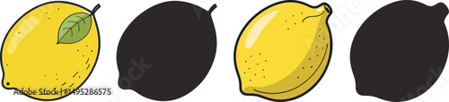Colorful lemons and their silhouettes a simple illustration