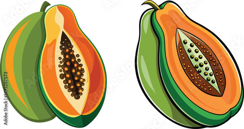 Whole papaya and half papaya illustration showing vibrant orange flesh and dark seeds  vector illustration