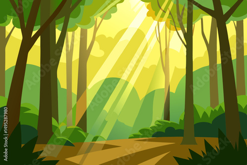 bamboo forest in the morning