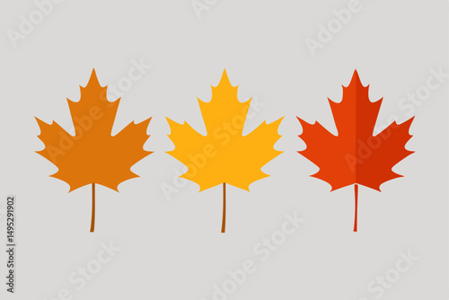 maple leaves isolated on white