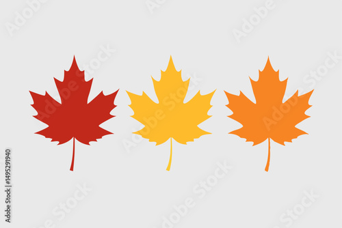 autumn maple leaf