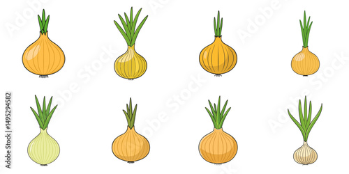 Vector illustration of multiple onions, outline