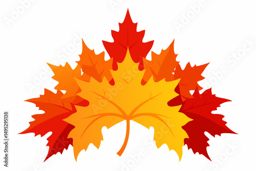 autumn maple leaf