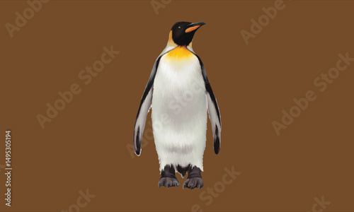 A single king penguin standing upright against a plain light blue gray background