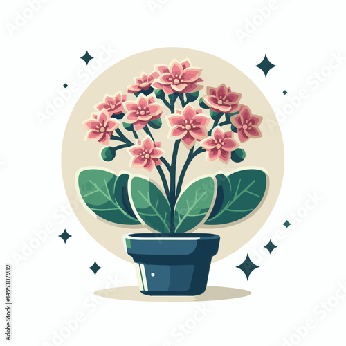 kalanchoe, plant, flower, nature, leaf, blossom, background, green, color, floral, bloom, flora, closeup, beautiful, succulent, blooming, houseplant, gardening, spring, botany, beauty, decorative, gar