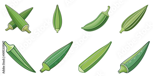Vector illustration of multiple okras, outline