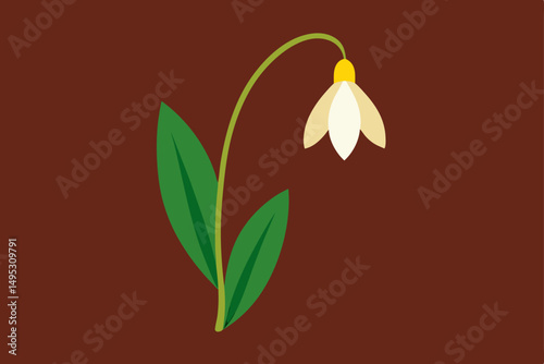 snowdrop flower vector illustration