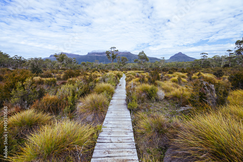 Overland Track Landscape in Tasmania Australia photo