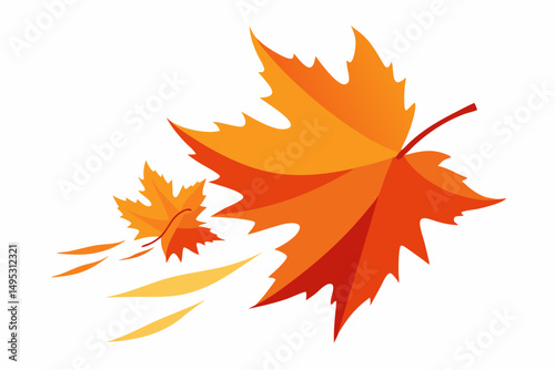 maple leaves isolated on white