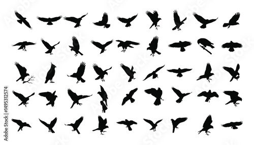 Eagle Hawk Bird Silhouette Vector Bundle | Flying Bird  Clipart for T-Shirt, Tattoo, Logo, Sublimation Design .
