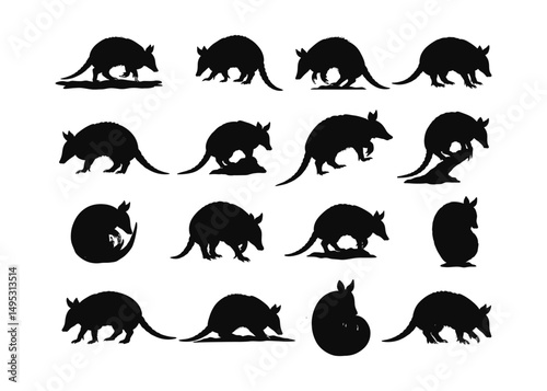 Armadillo Silhouette Vector Clipart | Animal Silhouette PNG for Sublimation, T-Shirt, Sticker, Cricut, Wildlife Design .

