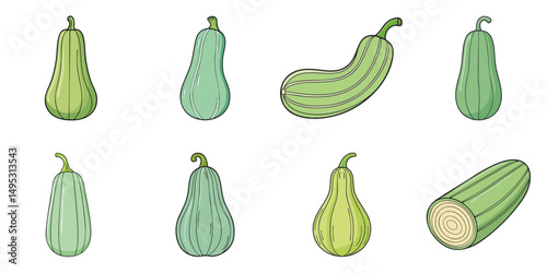 Vector illustration of multiple gourds, outline