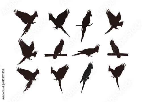 Parrot Silhouette Vector | Flying and Perching Cockatoo Bird Clipart Set .