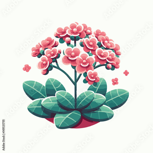 kalanchoe, plant, flower, nature, leaf, blossom, background, green, color, floral, bloom, flora, closeup, beautiful, succulent, blooming, houseplant, gardening, spring, botany, beauty, decorative, gar