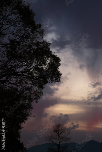 A moody sunset sky with dramatic clouds and silhouetted trees, creating a serene and atmospheric twilight forest scene.