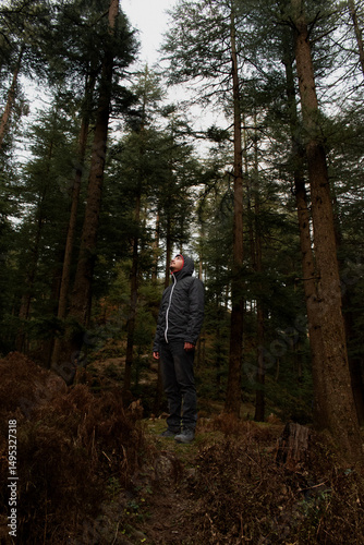 A lone figure stands amidst towering Cedar trees, gazing upward, surrounded by the peaceful stillness of the forest.