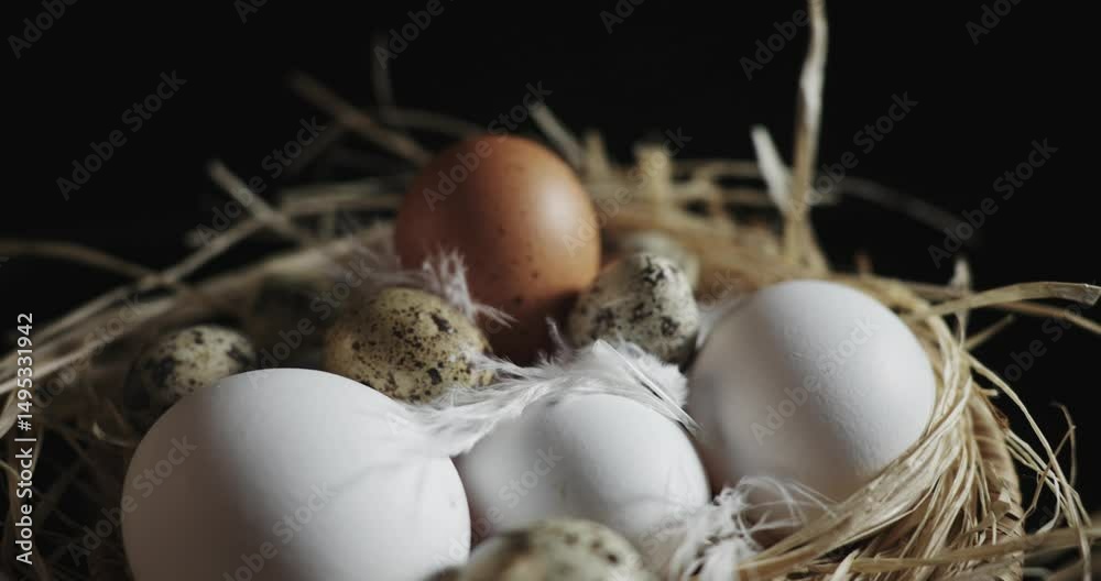 A nest of eggs with a few quail eggs in it