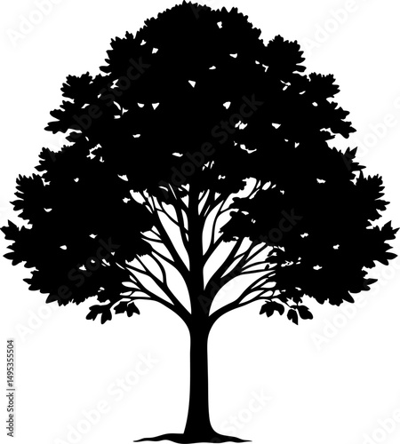 poplar tree black silhouette vector icon on white or transparent background