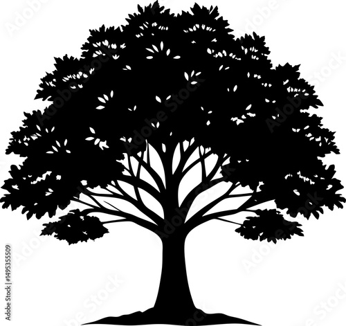 beech tree black silhouette vector icon on white or transparent background