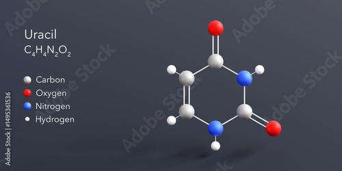 uracil molecule 3d rendering, flat molecular structure with chemical formula and atoms color coding