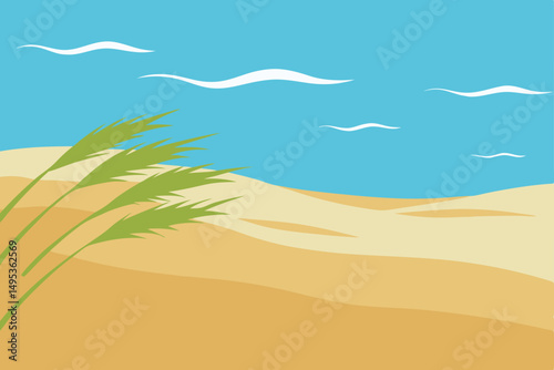 tropical beach background
