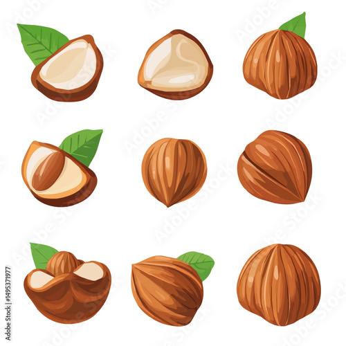 My Simple flat 2D illustration of hazelnuts set isolated on a transparent background, vector, flat design, animation design, simple flat 2D icon, clipart