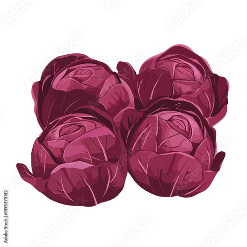 My Simple flat 2D icon, red cabbages group isolated on a white background, vector, vector, flat design, animation design, simple flat 2D icon, minimalist design, vector design, eps