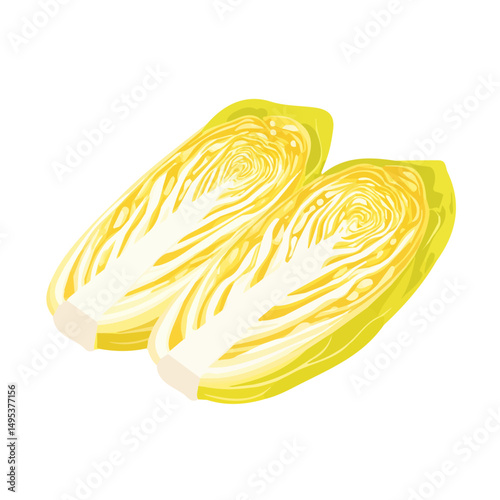 My Simple flat 2D icon, sliced napa cabbage isolated on a white background, vector, flat design, animation design, simple flat 2D icon, minimalist design, vector design, eps