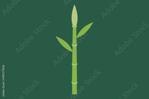 bamboo background