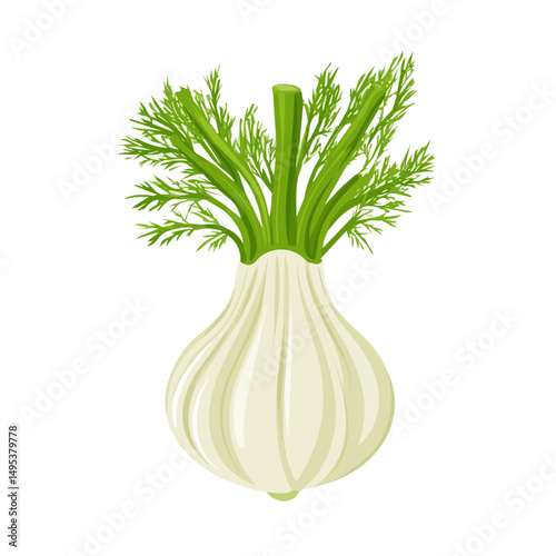Photos My very Simple flat 2D icon, whole fennel bulb isolated on a white background, v