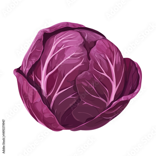 My very Simple flat 2D icon, whole red cabbage isolated on a white background, vector, flat design, animation design, simple flat 2D icon, minimalist design, vector design, eps