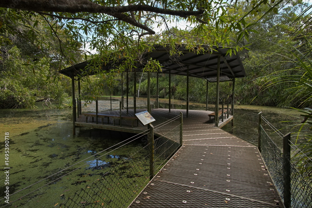 Obraz premium Lookout on Goose Lagoon in Territory Wildlife Park, Berry Springs, Northern Territory, Australia 